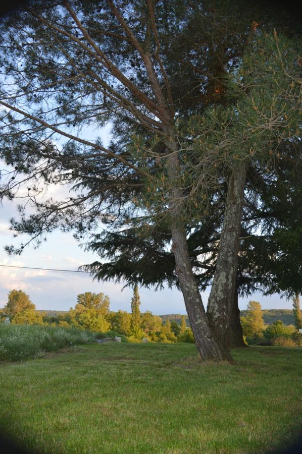 バンヌ Les Loups Dans La Bergerie Bed & Breakfast エクステリア 写真