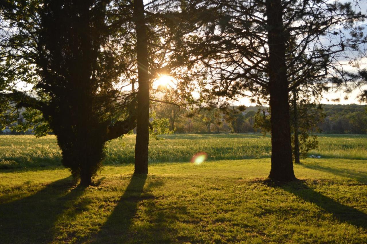 バンヌ Les Loups Dans La Bergerie Bed & Breakfast エクステリア 写真